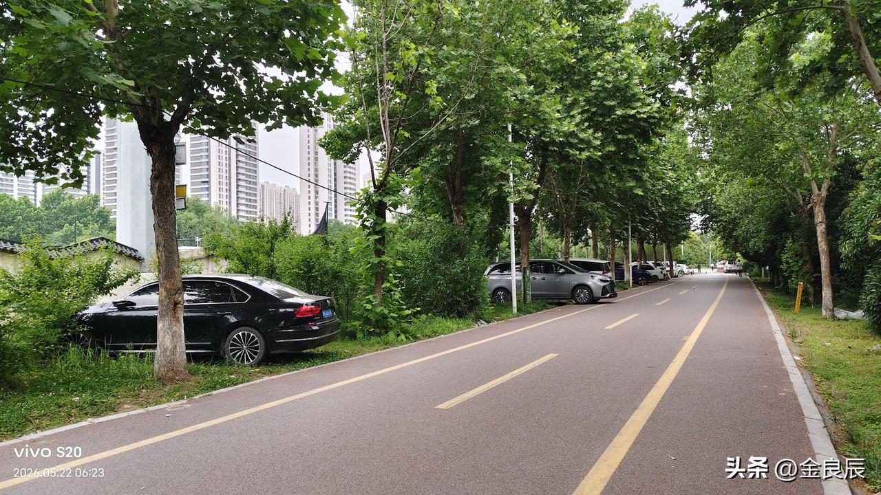 城市绿色廊道咋就变成了免费停车场？

这是5月22日清晨6点23分拍摄的画面，郑