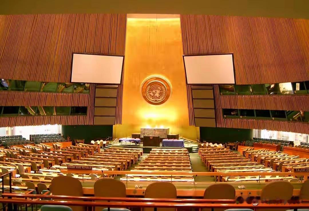 6月3日联合国安理会非常任理事国选举结果一出来，不少人都看呆了，德国居然落选了？