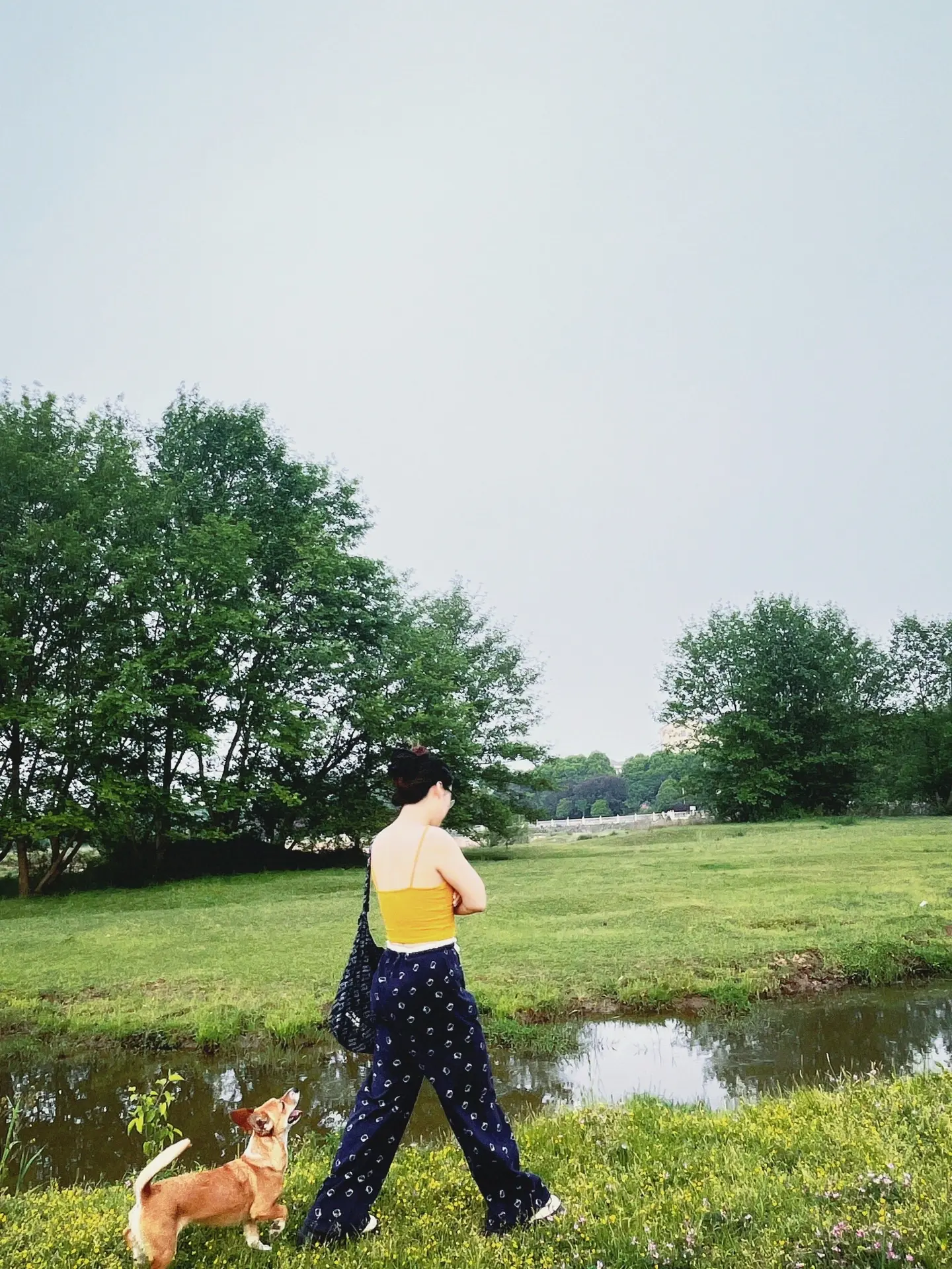 这里是芜湖的小镇。我的家乡皖南真的很美