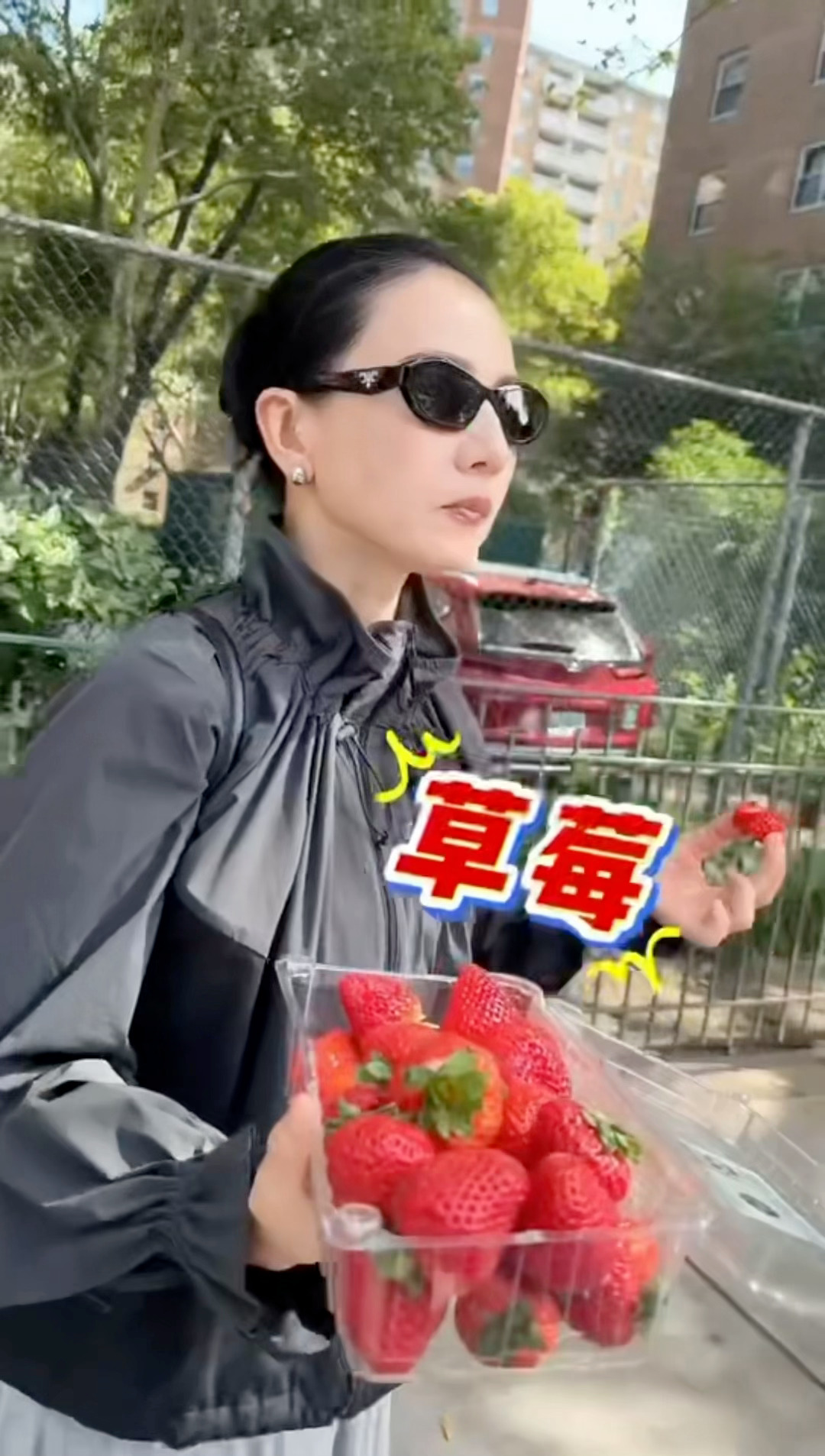 高圆圆也是老吃家了高圆圆纽约vlog好有活人感高圆圆纽约vlog氛围感太舒服，不