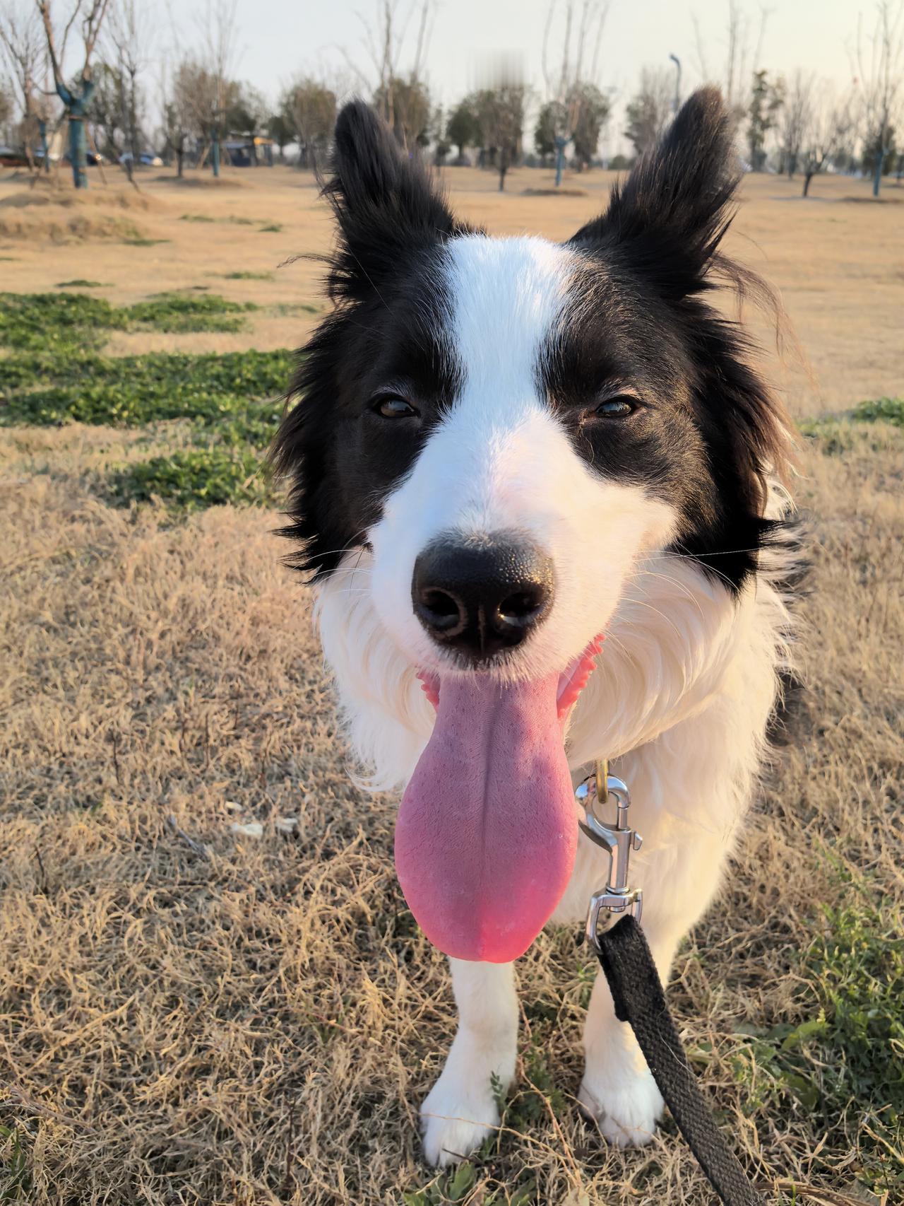 快进来，一起学习一下最高级的怼人的话再走

友友们有没有遇到和他人吵架，因为嘴笨