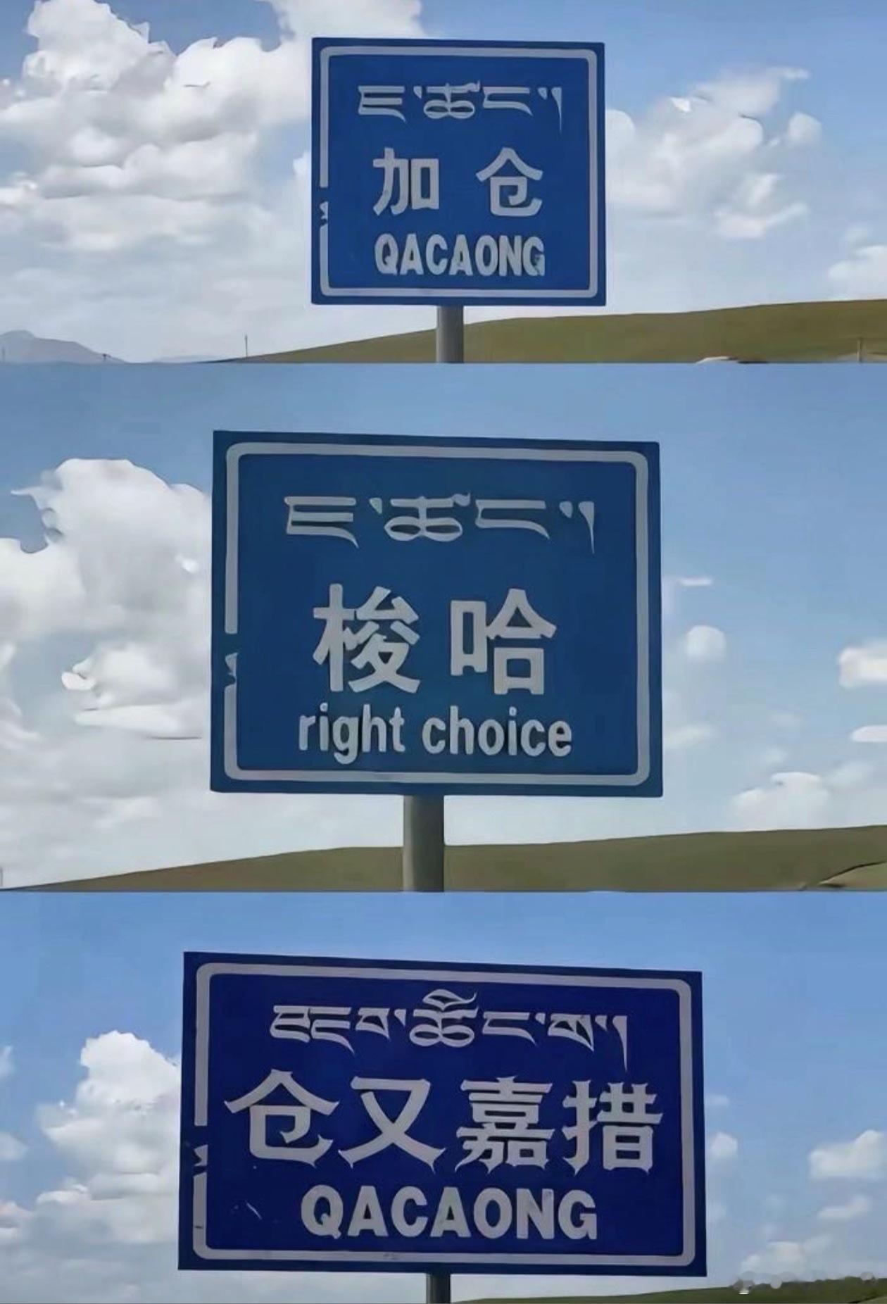 加仓梭哈仓又加错