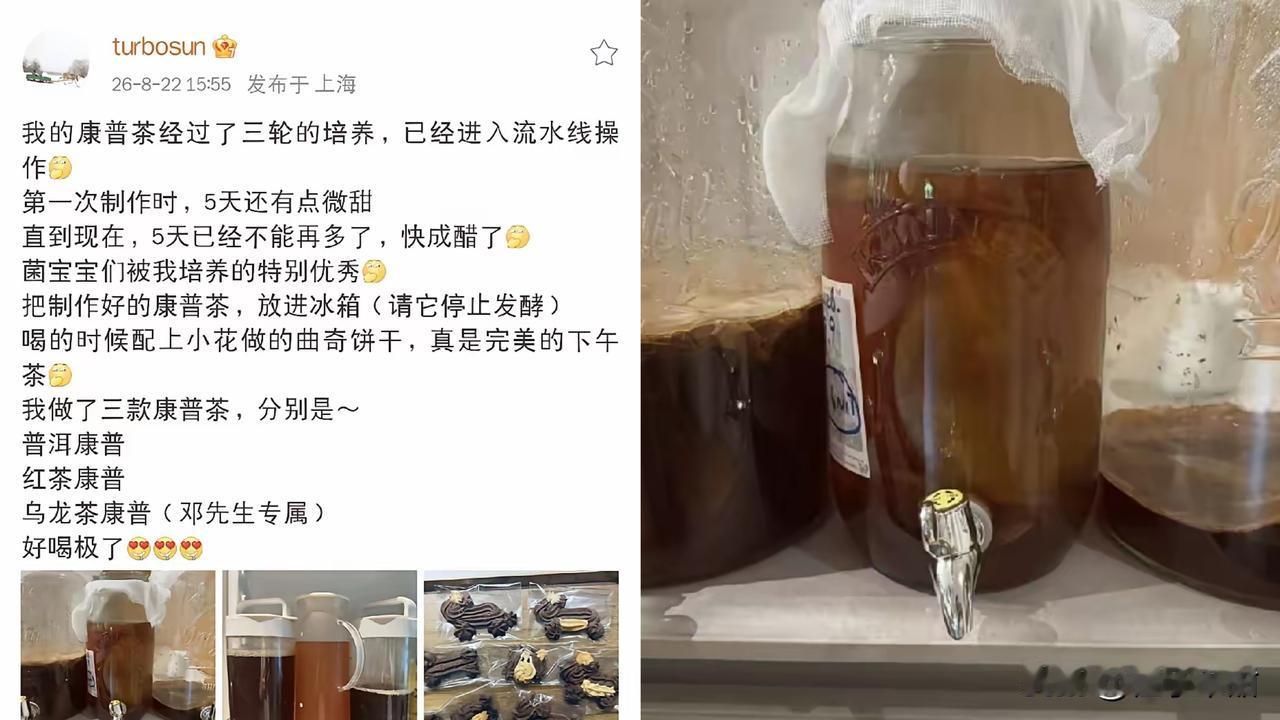 孙俪又上新活了。
8月22号她发动态，晒的不是新戏，是一冰箱自制康普茶。

普洱