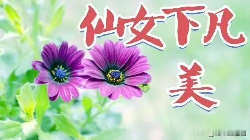 标题：《烟火入墨，马踏春风：我在平凡日子里，写出了心中的山海》
 
在这个步履匆