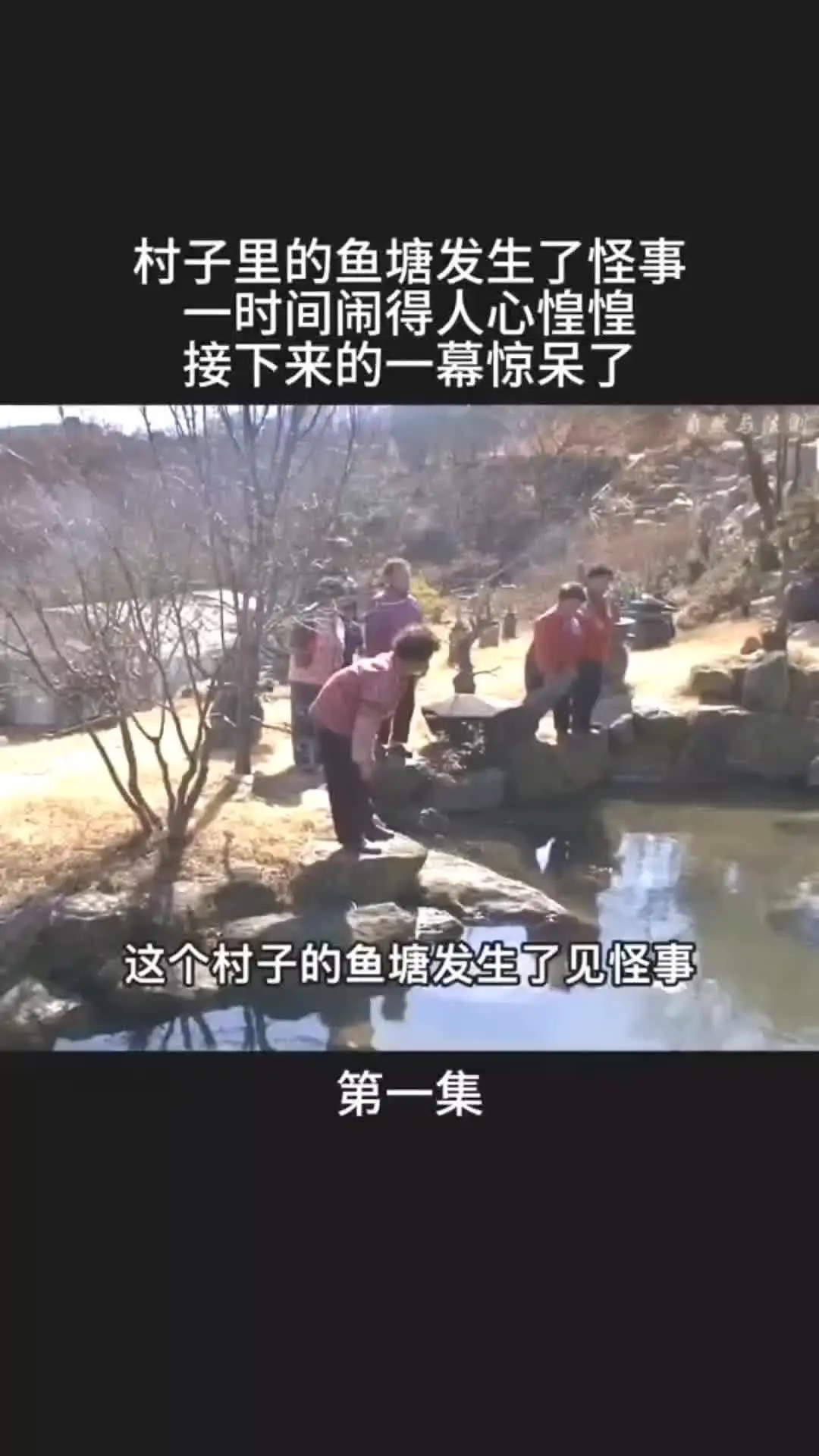 我的观影报告