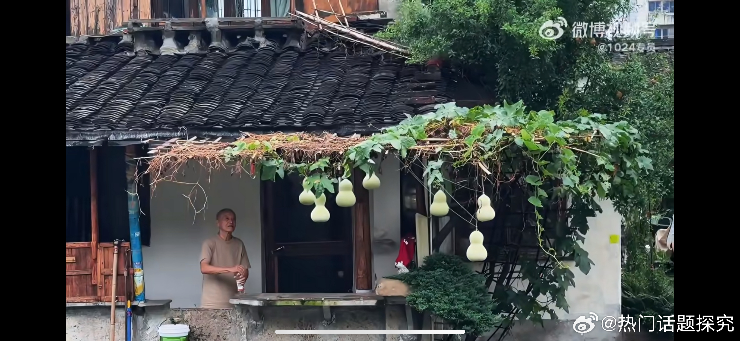 葫芦娃爷爷 流量时代的恐怖故事，故事最初本是一场温柔的双向治愈。绍兴75岁的陈金