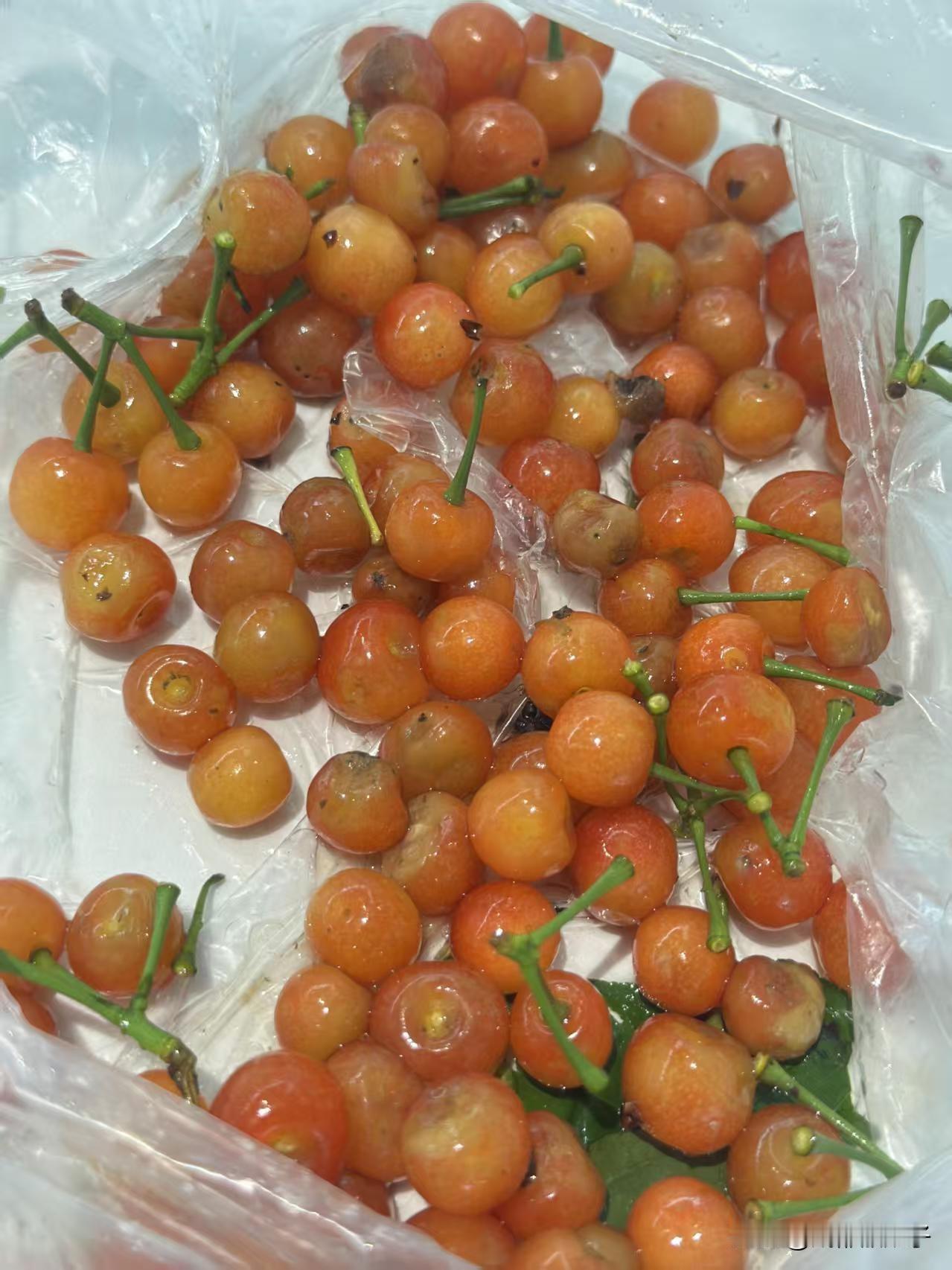 被80岁卖恩特儿大爷上了一课

谁懂啊宝子们！被八十岁卖恩特儿的大爷上了一课。说