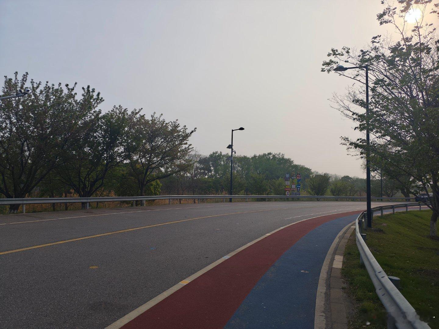 前些天老马在X上转发的近湖路绚烂樱花，今天下午骑车经过，已经差不多都谢了，太湖边