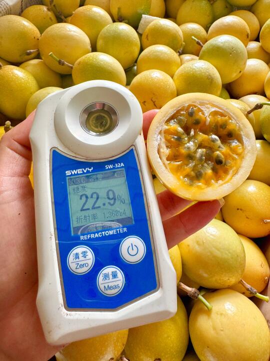 我知道同行又要说我们的测糖仪有问题了！