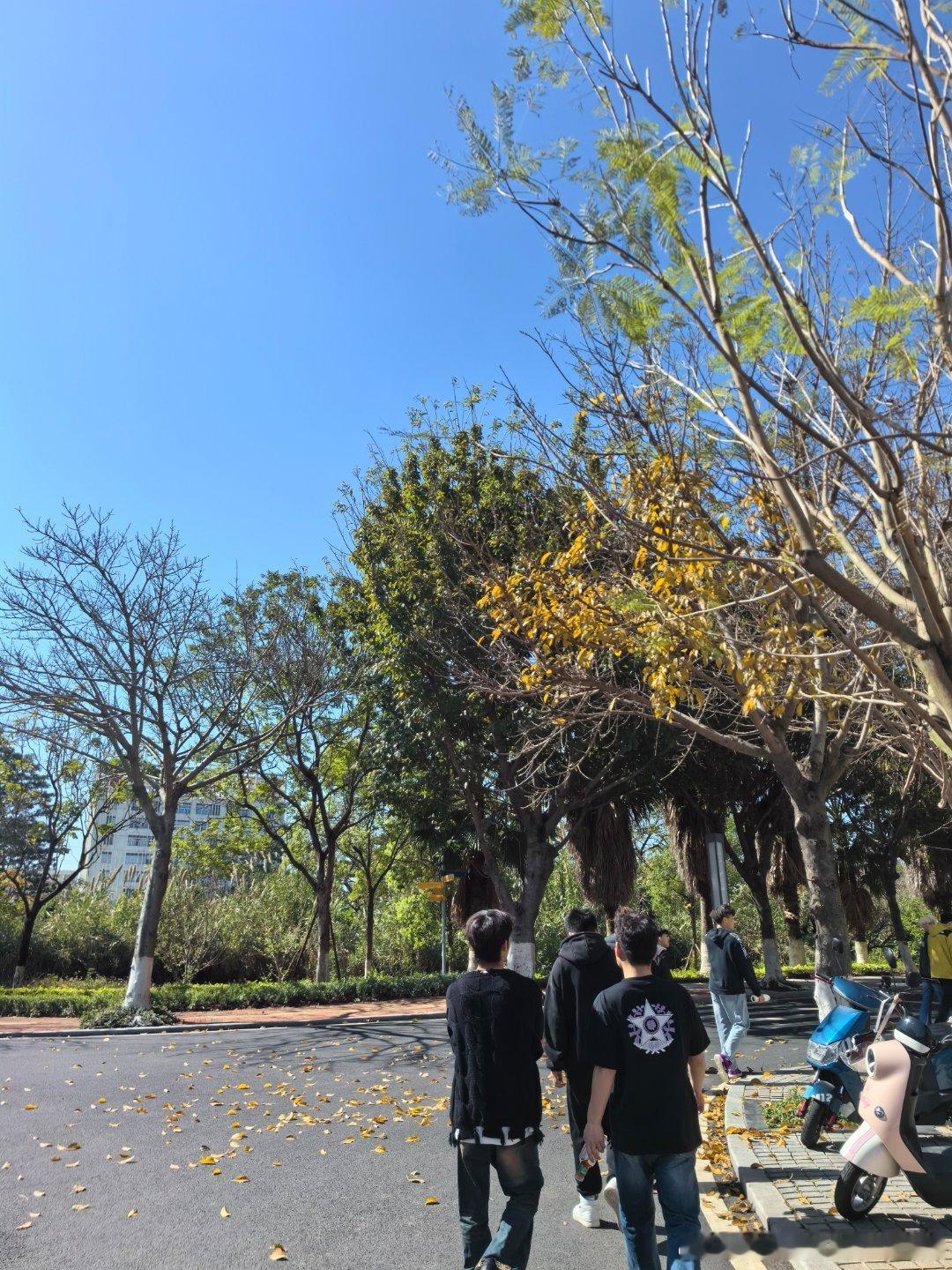 今天天气太好了[爱你]怕隧道堵车早早7点多到校这学期是食物营养与配餐课这个班学生