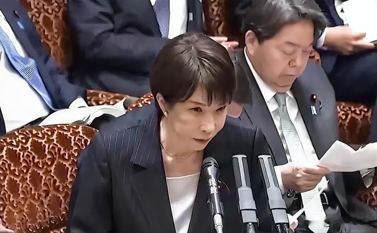 日本首相高市早苗表示，日本目前没有计划派遣海军护航舰艇保护通过战略要地霍尔木兹海