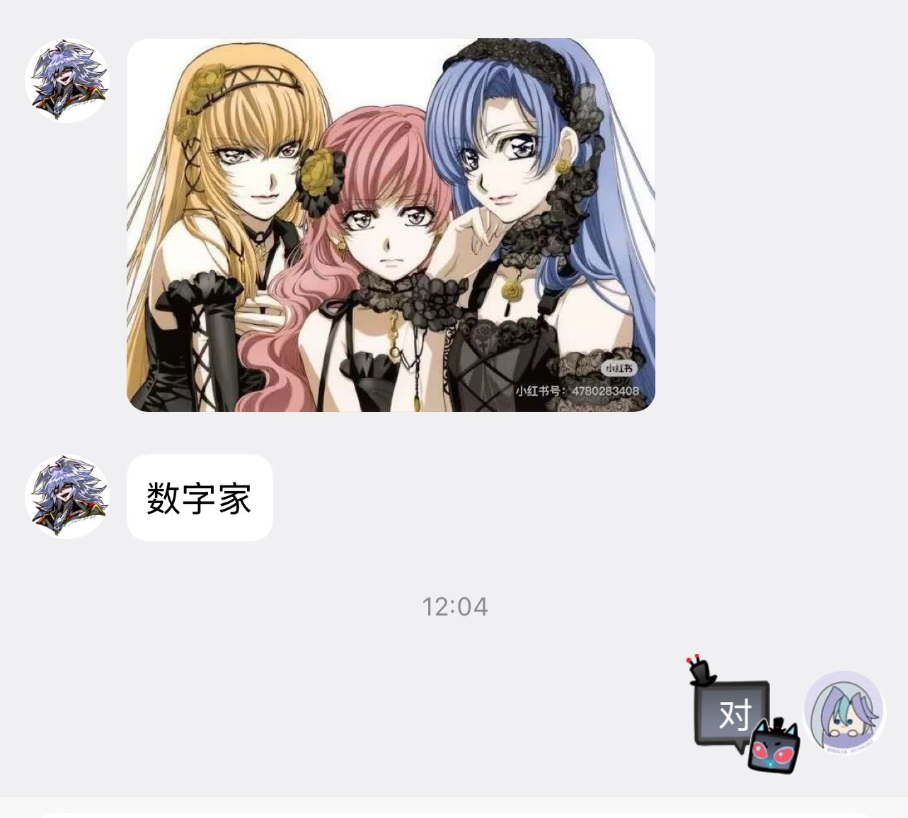 数字家就是公主公主 