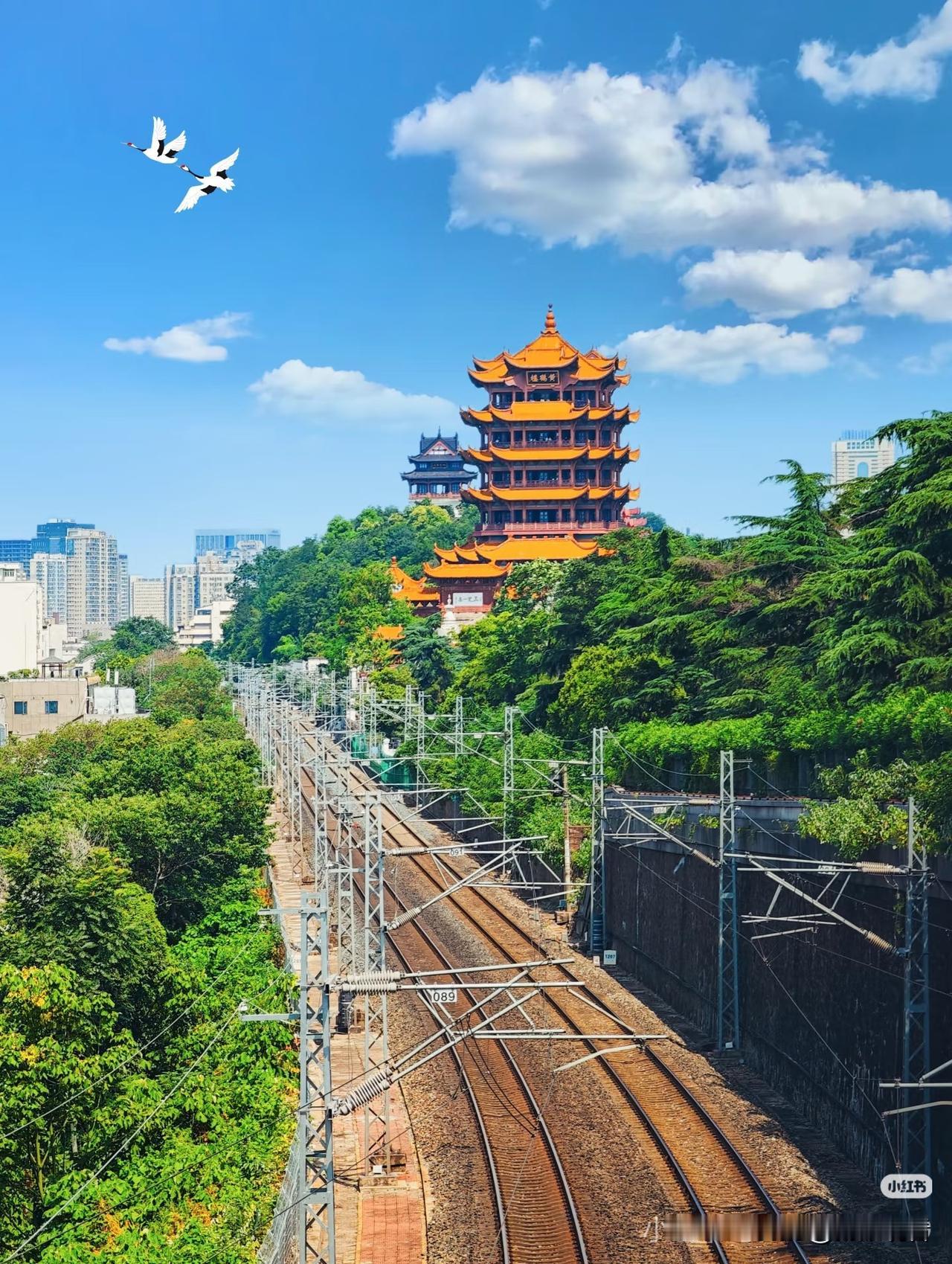 市井暖冬藏温情！武汉的冬天，风再冷也抵不过人心烫🔥
 
12月的武汉，寒风裹着