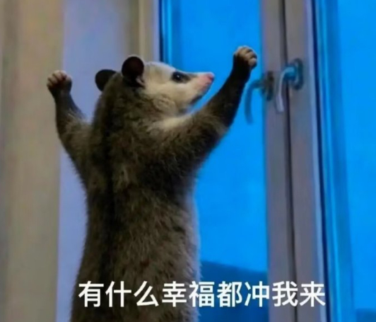有什么好事都冲我来呀！ 
