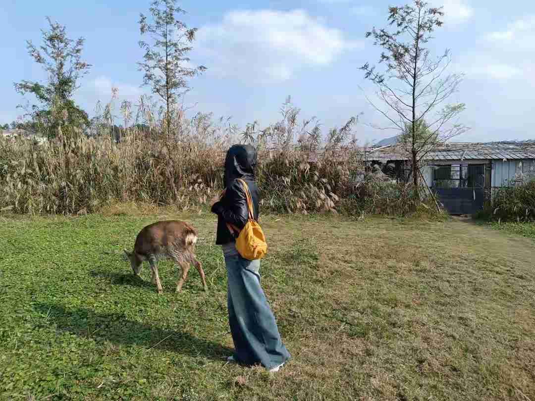 我的今日状态：😁轻松愉快
我这里的天气：☀️晴天

人总是想鱼与熊掌兼得，想自