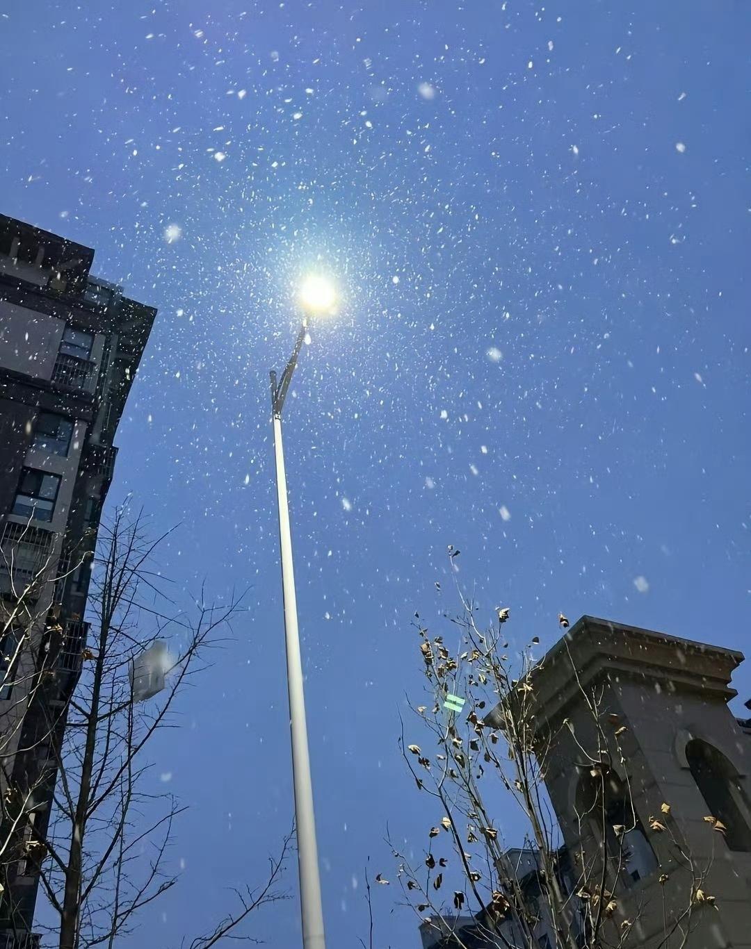 18 日冷空气一来，北京山区就被雪“攻陷”啦！延庆、玉渡山等地率先迎来降雪。午后
