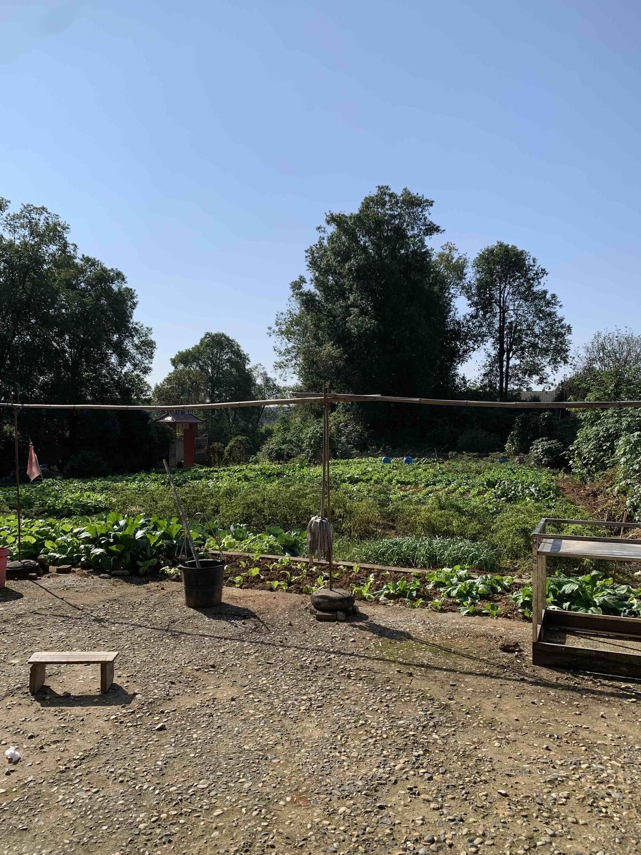 冬日暖阳🍂属于老家的浪漫日常
冬天有阳光的日子
暖洋洋的
迎着太阳一坐就是一上