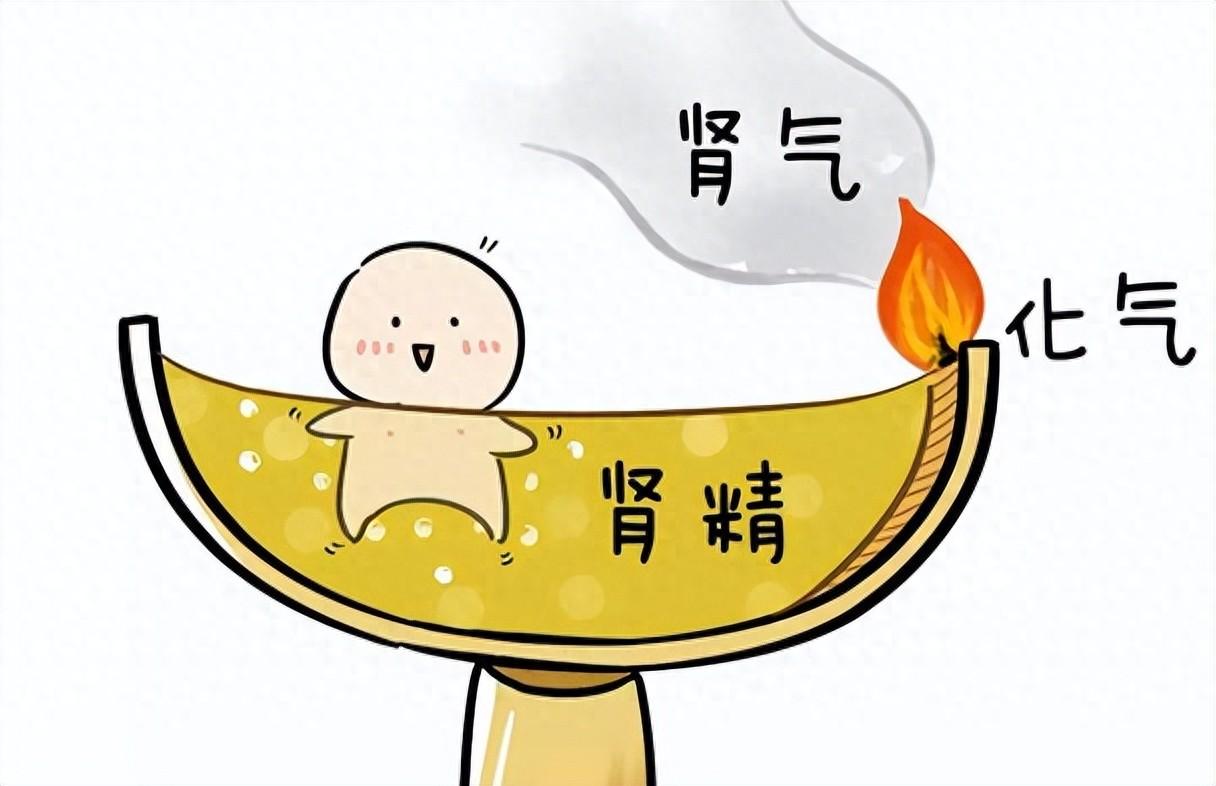 真正生精王者登场！五子、十子都要靠边站，先通后补才填得满
我是陈大夫⚠️温馨提醒