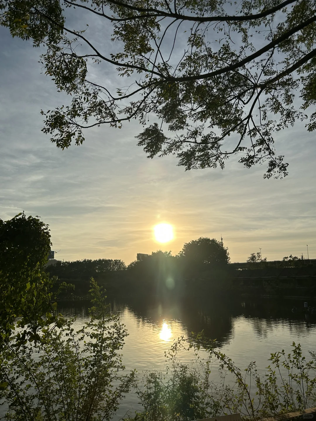 西樵龙湾早羽咖啡💛