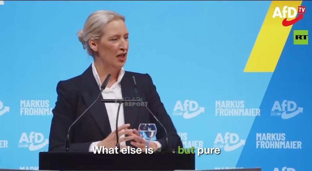 新闻快讯——德国选择党（AfD）领袖爱丽丝·魏德尔怒批德国能源政策
 
“法国、