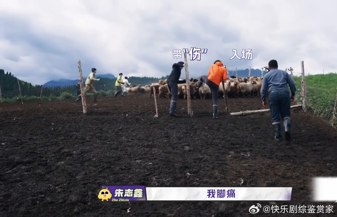 朱志鑫脚痛张极膝盖痛朱志鑫输出全靠吼笑晕了！朱志鑫脚痛、张极膝盖痛，双双负伤进场