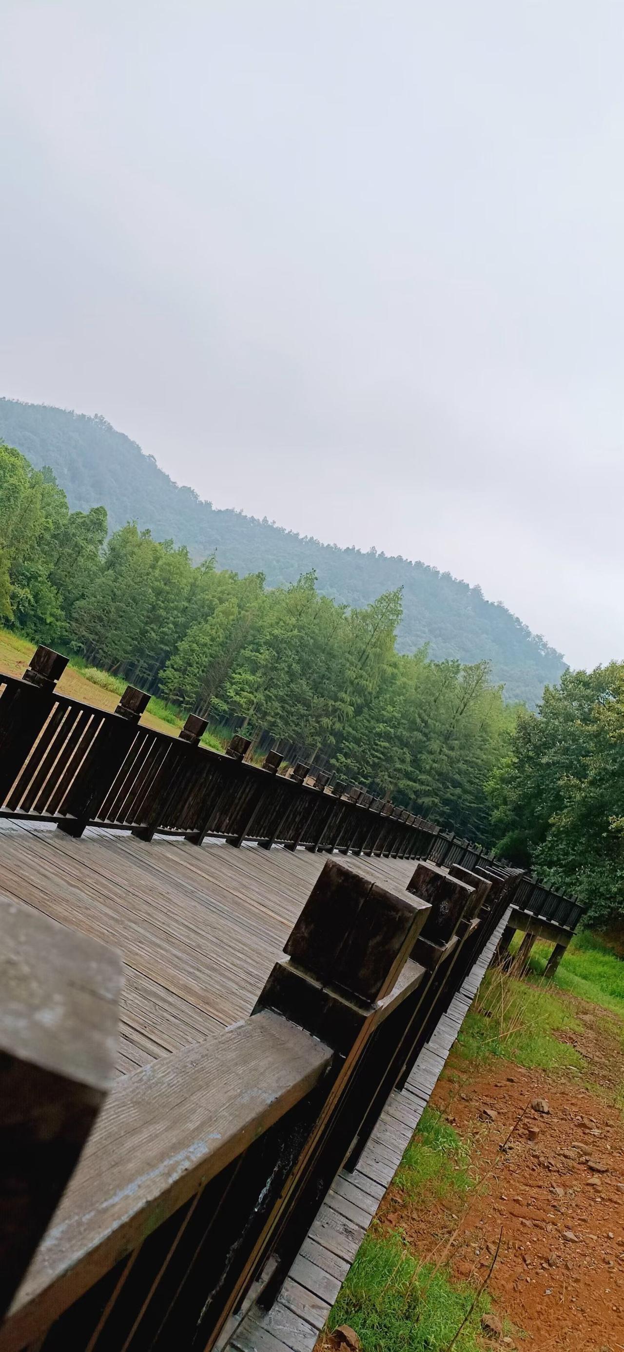 今天起了个早，外面下着雨。心里想着3天前做的甜米酒应该出酒了。拉开柜门，掀掉枕头