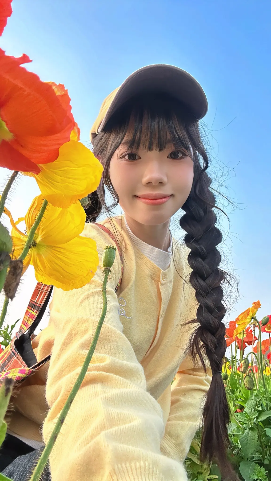 春天是她最爱的季节。虞美人跟夕阳简直太配啦