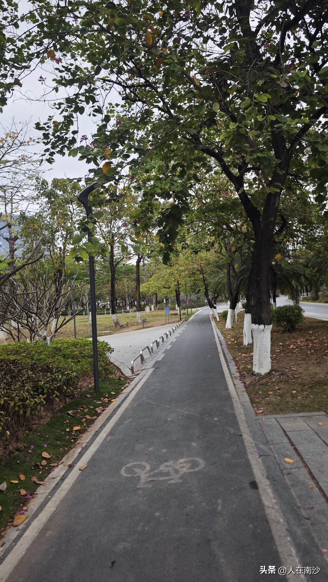 【好消息！蕉门河公园终于要拒禁电鸡了！】经过几年的建设，蕉门河已经成为了很多南沙