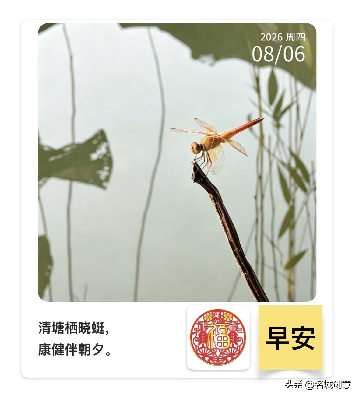 晴天热，雨天闷，进入盛夏汗淋淋。防中暑，防湿邪侵，安全度夏莫粗心。静下心，守住身