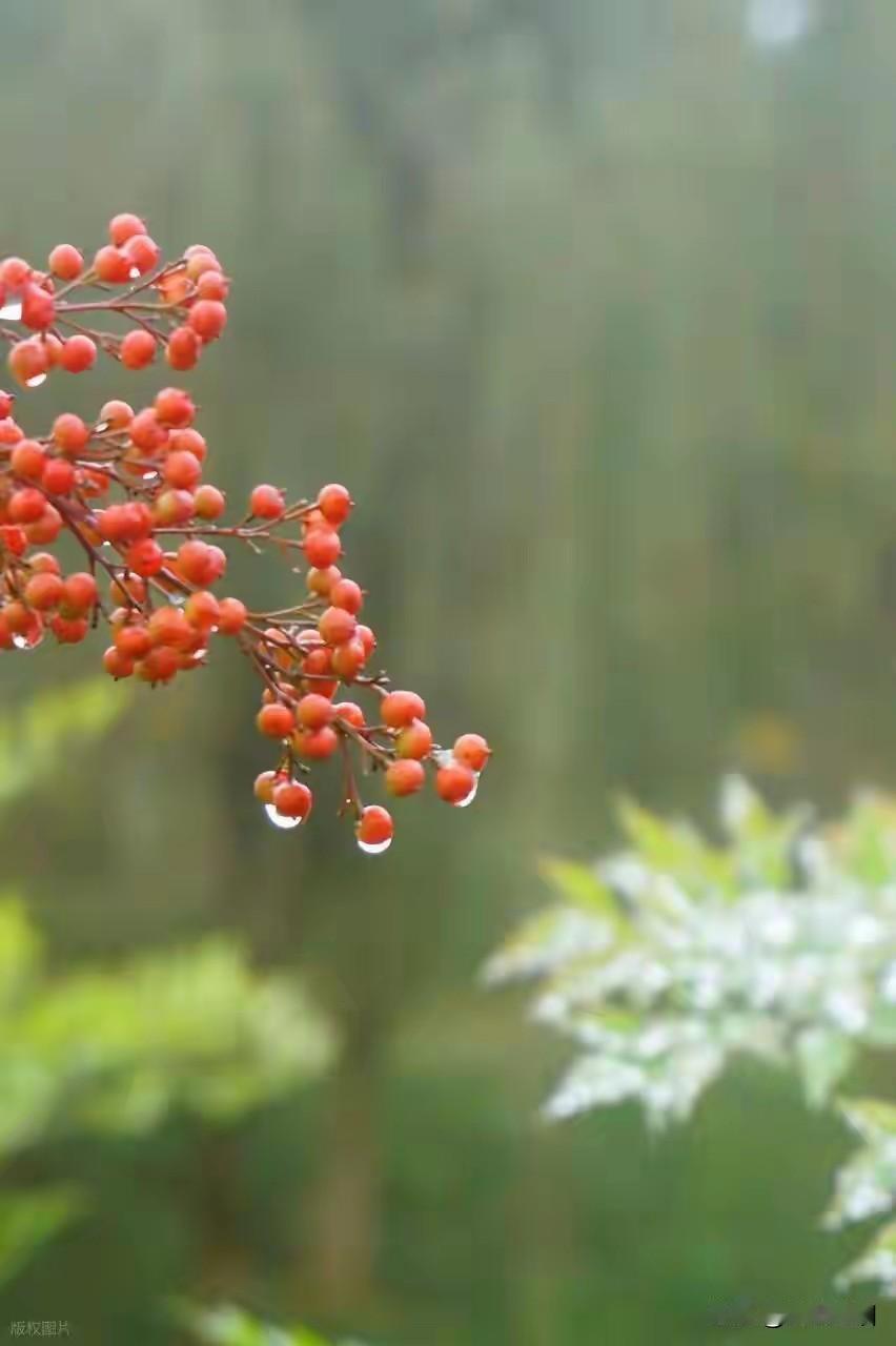 如果期望太大，反而会失落更多

不要太过于看重一件事，有时候越是小心，反而更容易