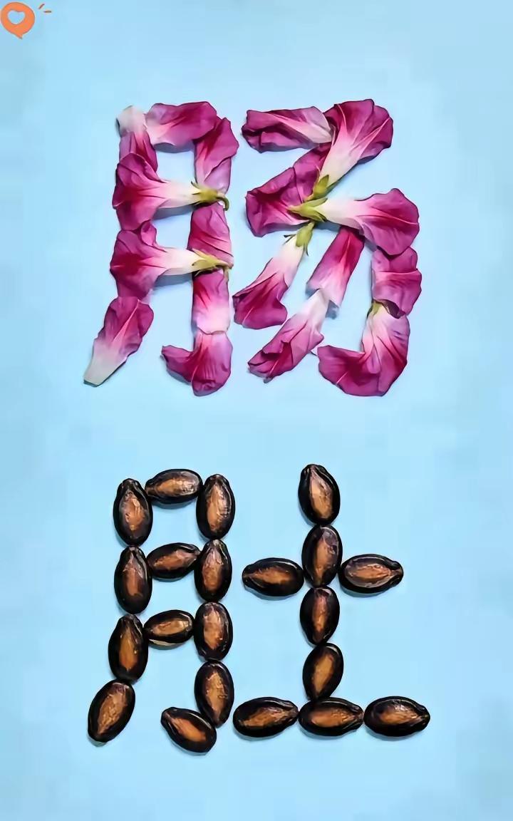 有牵牛花
有八角摆成牵字和肠字
牵肠挂肚