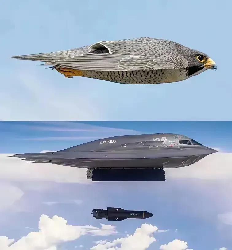不得不说，真的是太像了，外界一直认为这就是美国仿生学运用到极致的典型。
不过美国