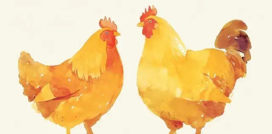 3月12日，属鸡人，你面对三重“认可突袭”：过去好、现在真、本来面目，为什么“要