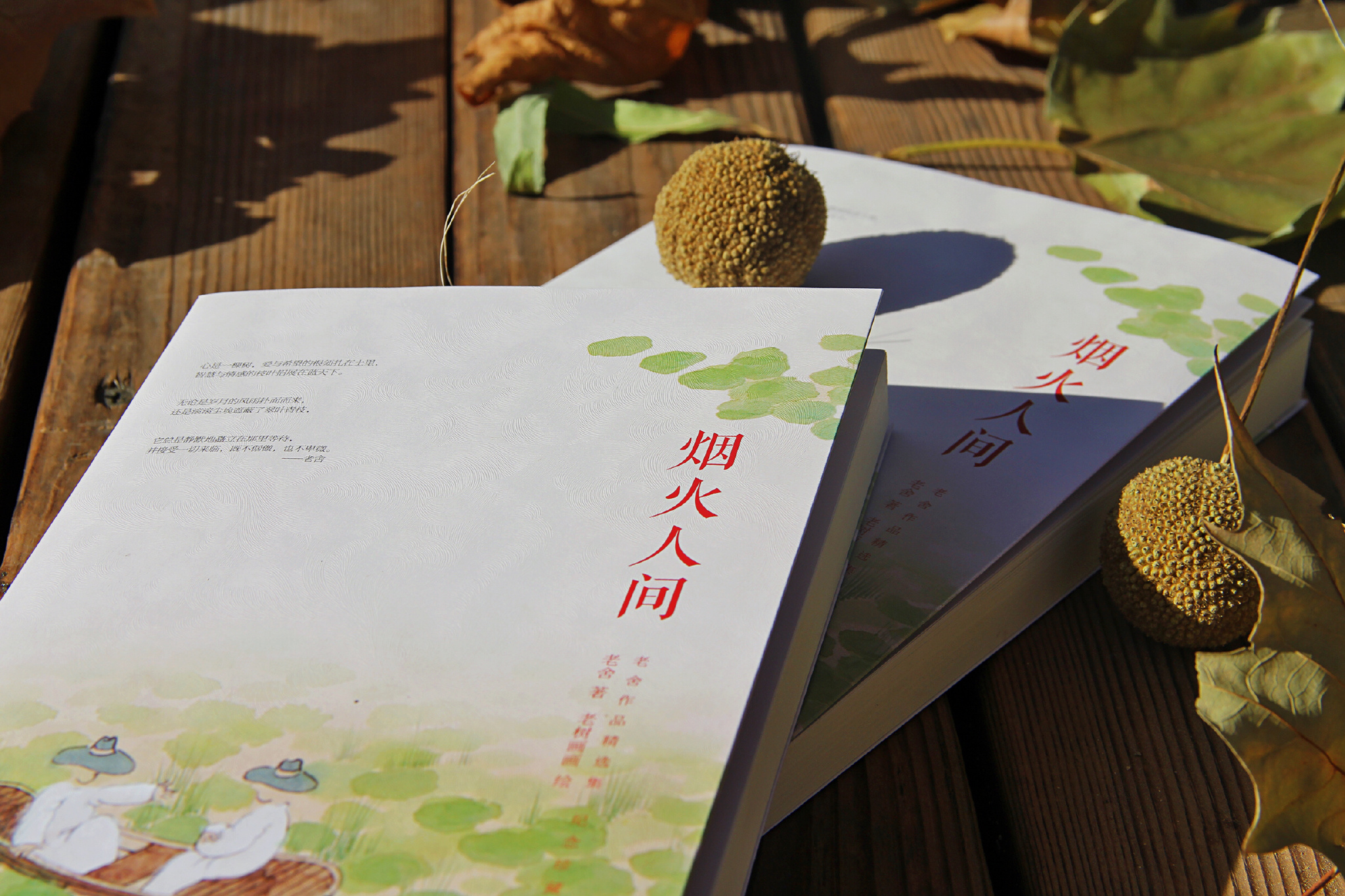 人若是看透了自己，便不会再小看别人。| 老舍《烟火人间》 