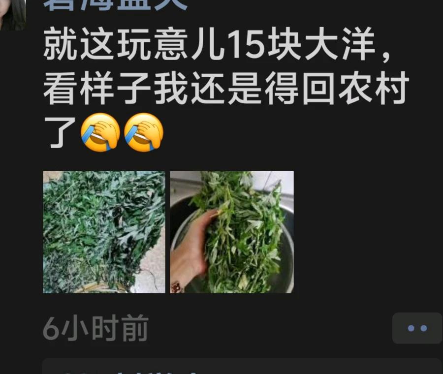 今天在市场看到有卖艾草的，一问，要十五元一把，这东西，在咱们农村，一大片一大片的