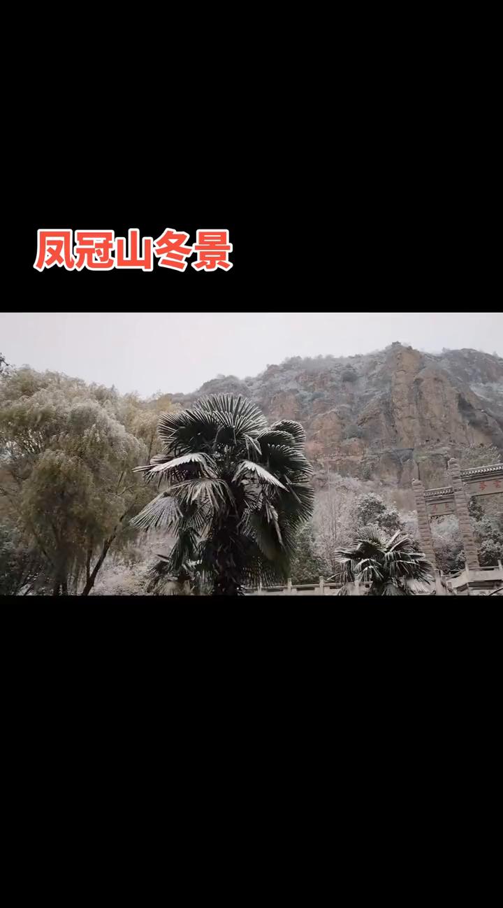 凤冠山冬景。