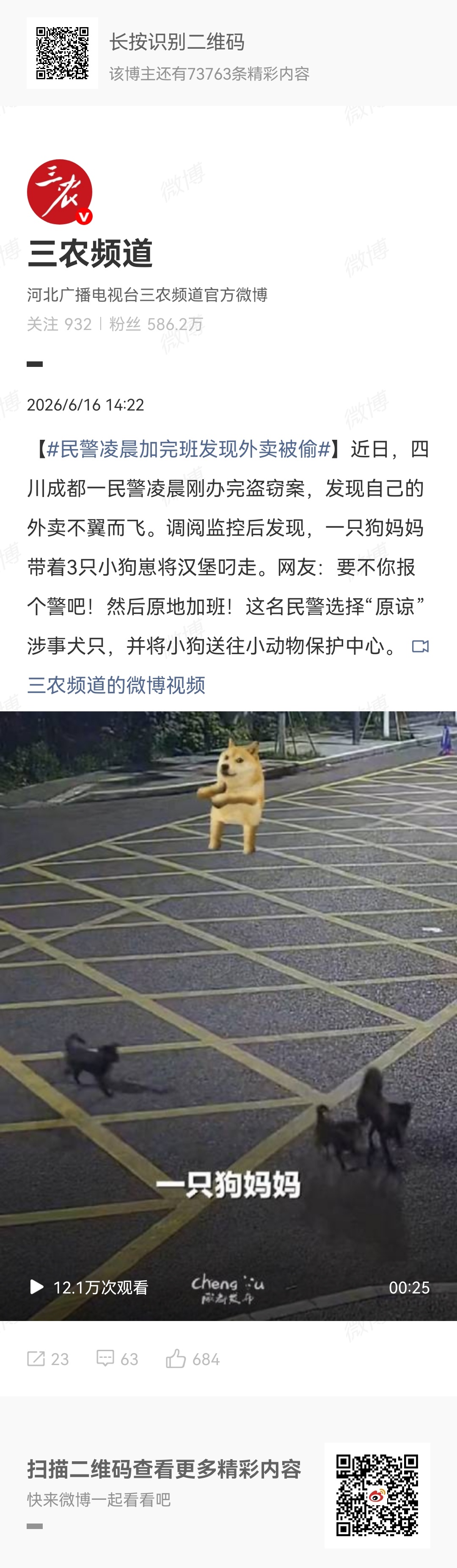 民警凌晨加完班发现外卖被偷  警察看完了想报警给黑猫警长把狗送进去是对的，把人咬
