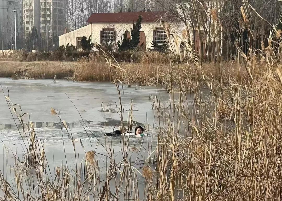 我最勇敢的一件事，我想就是22年冬天救了一位落水老大爷了吧，那天和老妈带孩子在公