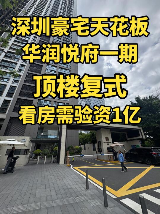 疯了‼️看房需验资1个亿，华润悦府一期