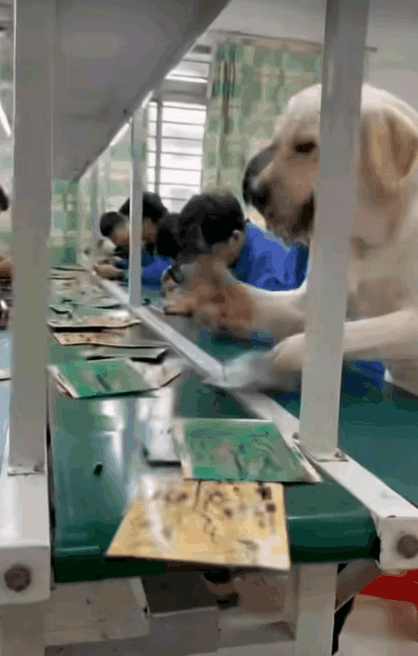 很多大学生看校招上的岗位薪资，发现低于5K一概不投简历。这个举动未免太高看自己了