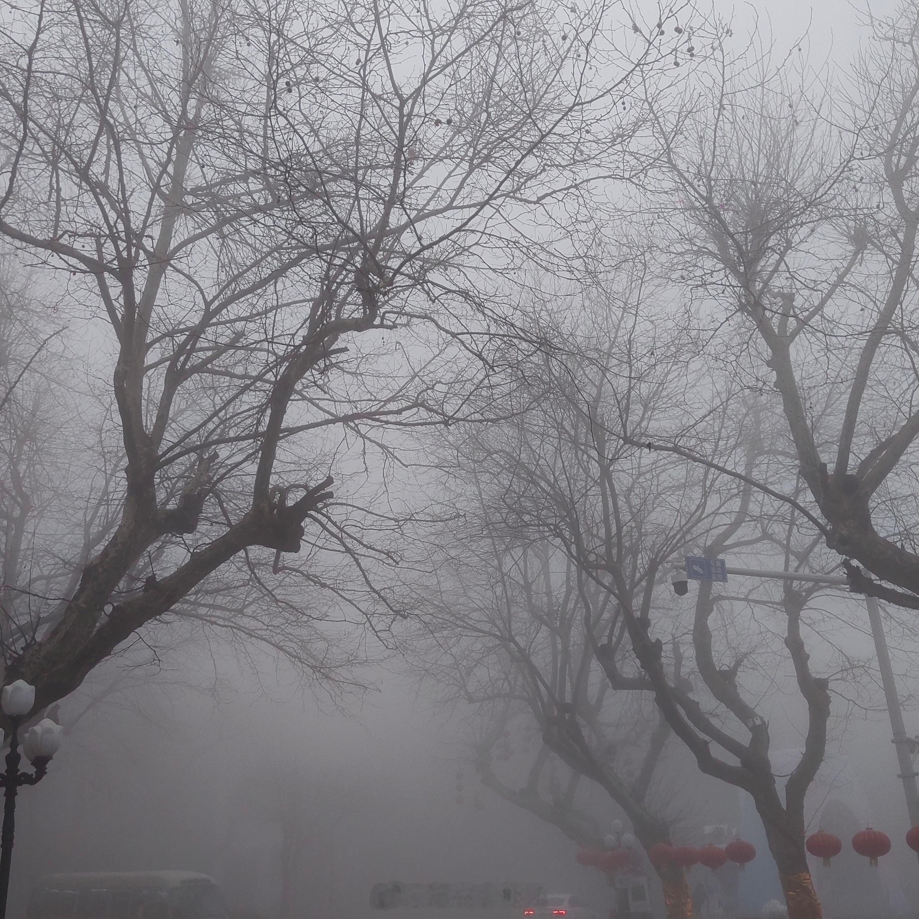 我要下山了庐山就要下雪是啥意思？虐待我这个没见过雪的广东人