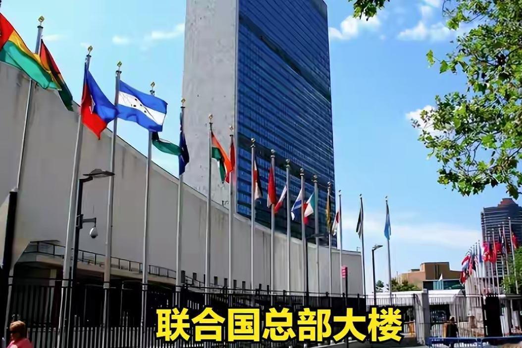 有些人跪久了，真把美国监狱加地板，当成了金砖。

有件事实在荒唐可笑。

这位曾