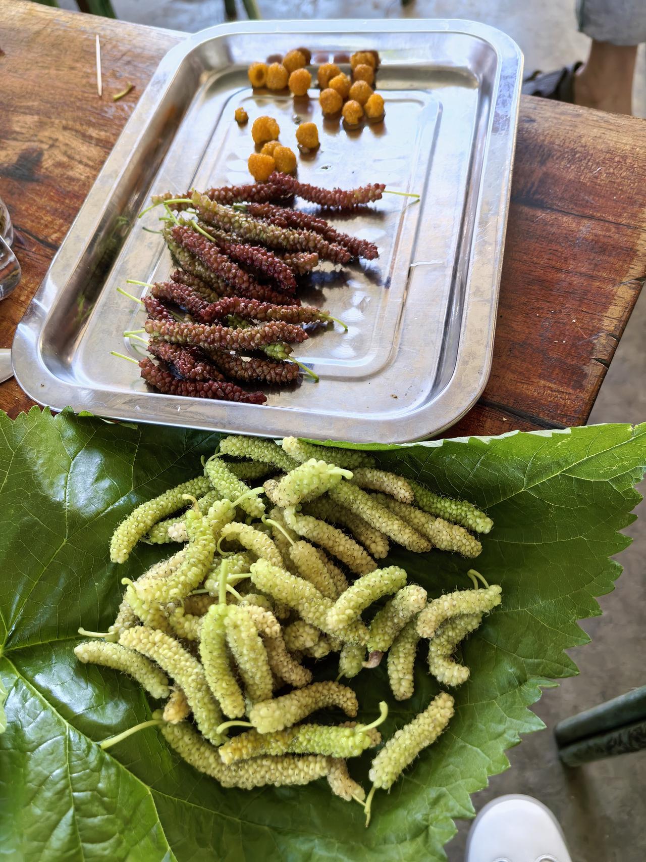 健康小常识：中医大夫看病开方，有时候明明辨证很清楚，用方看上去也没太大问题，那为