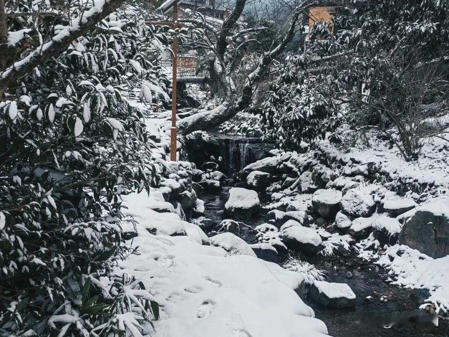 2024年桐庐第一场雪来了！最低气温将降至-7℃！今天一早醒来，雪在朋友圈刷屏了