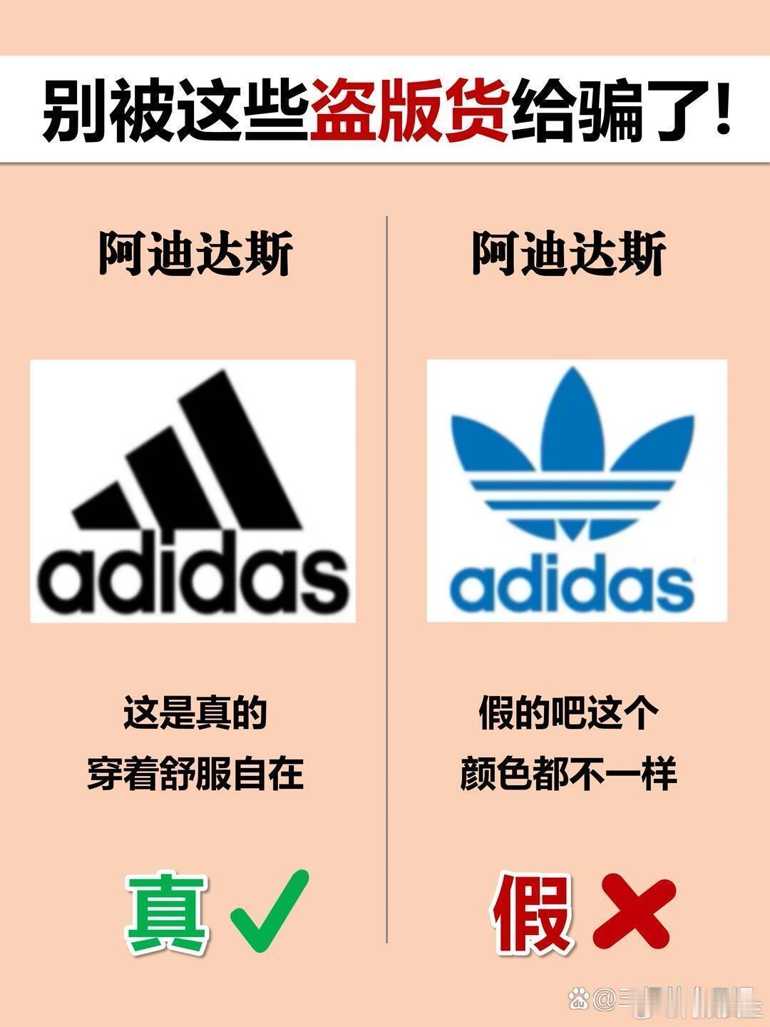 火眼金睛分辨真假！ ​​​