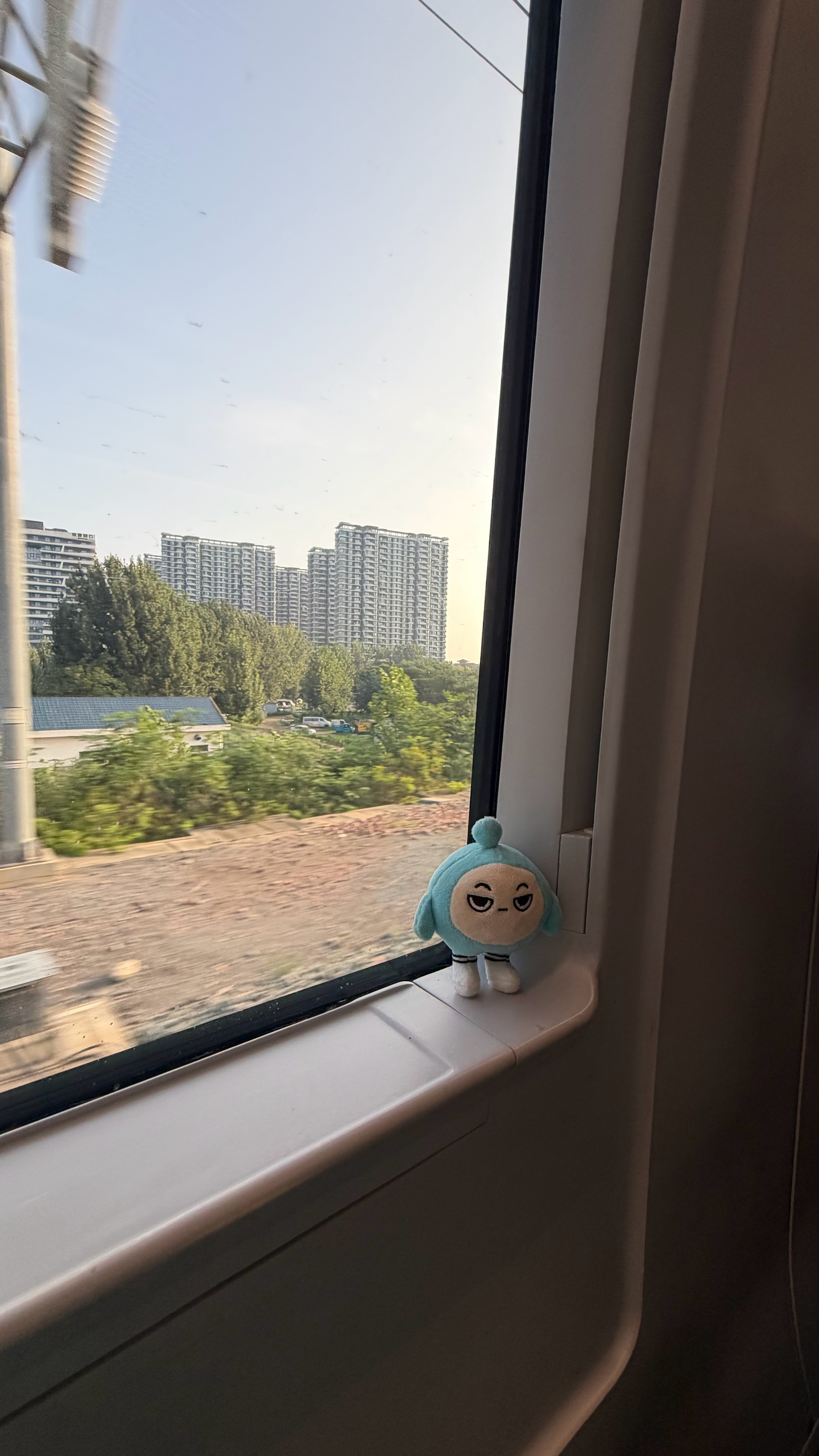 分享图片 