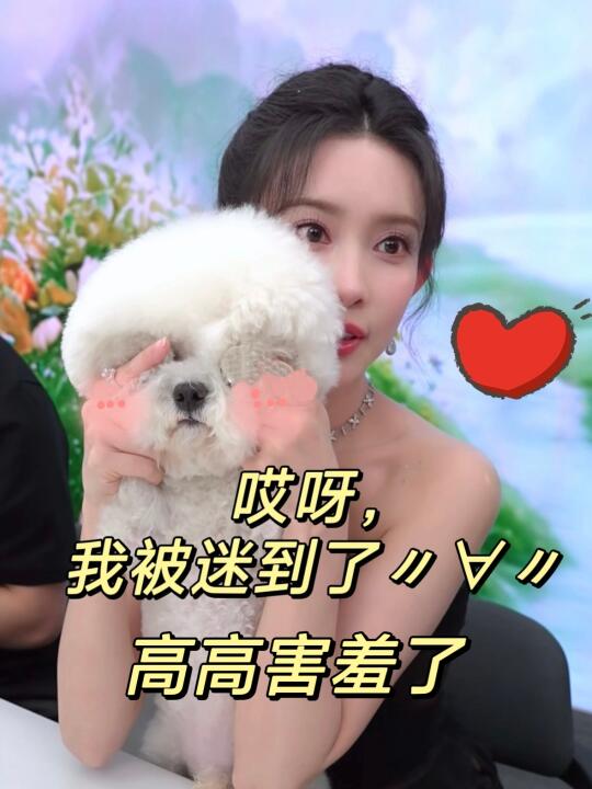 高高：孟姐的美貌让我睁不开眼了