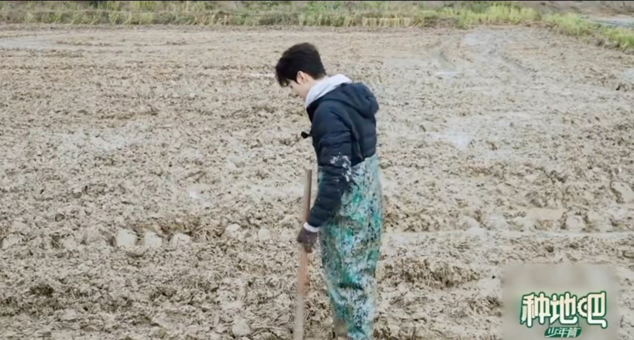 我不行了…看了一天红舞鞋路透，看到周也下地看到王子奇拔鞋看到他们说红舞鞋爆改种地