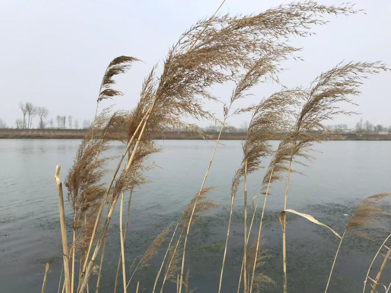 晒图笔记大赛无意中翻看到十年前的一张照片，隐约记得那天很多心事，在河边想了很久。