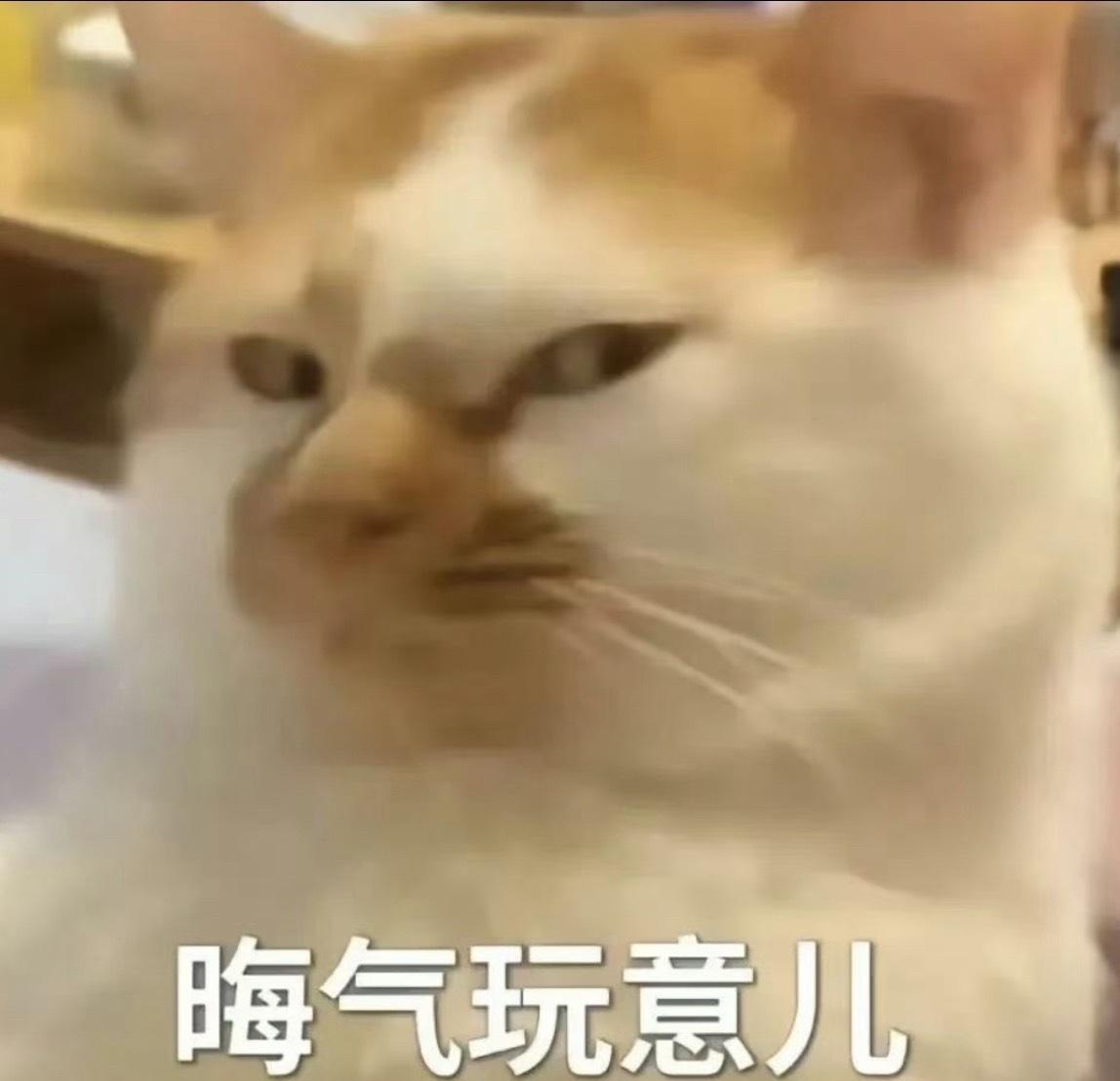 嘘，低声些，信这玩意儿很光彩吗
这视频AI味儿冲天了还在那装真瓜瞎蹦哒
 ​​​